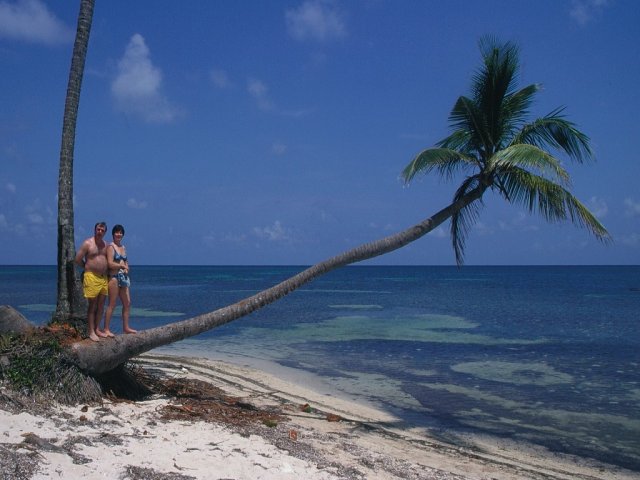 2003 roatan